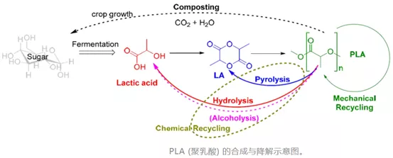 PLA的化学降解过程