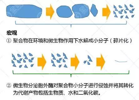 生物降解塑料PLA的降解机理