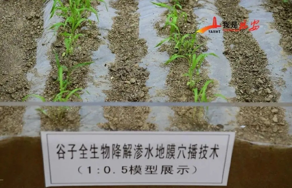 科技部：全生物降解渗水地膜旱作技术示范推广成效良好