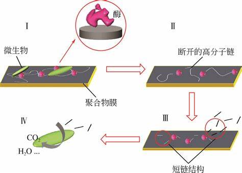 生物基可降解食品包装材料关键技术