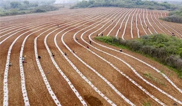 工信部 发改委 商务部发文：开展全生物降解地膜达标行动、培育壮大生物制造新增长点